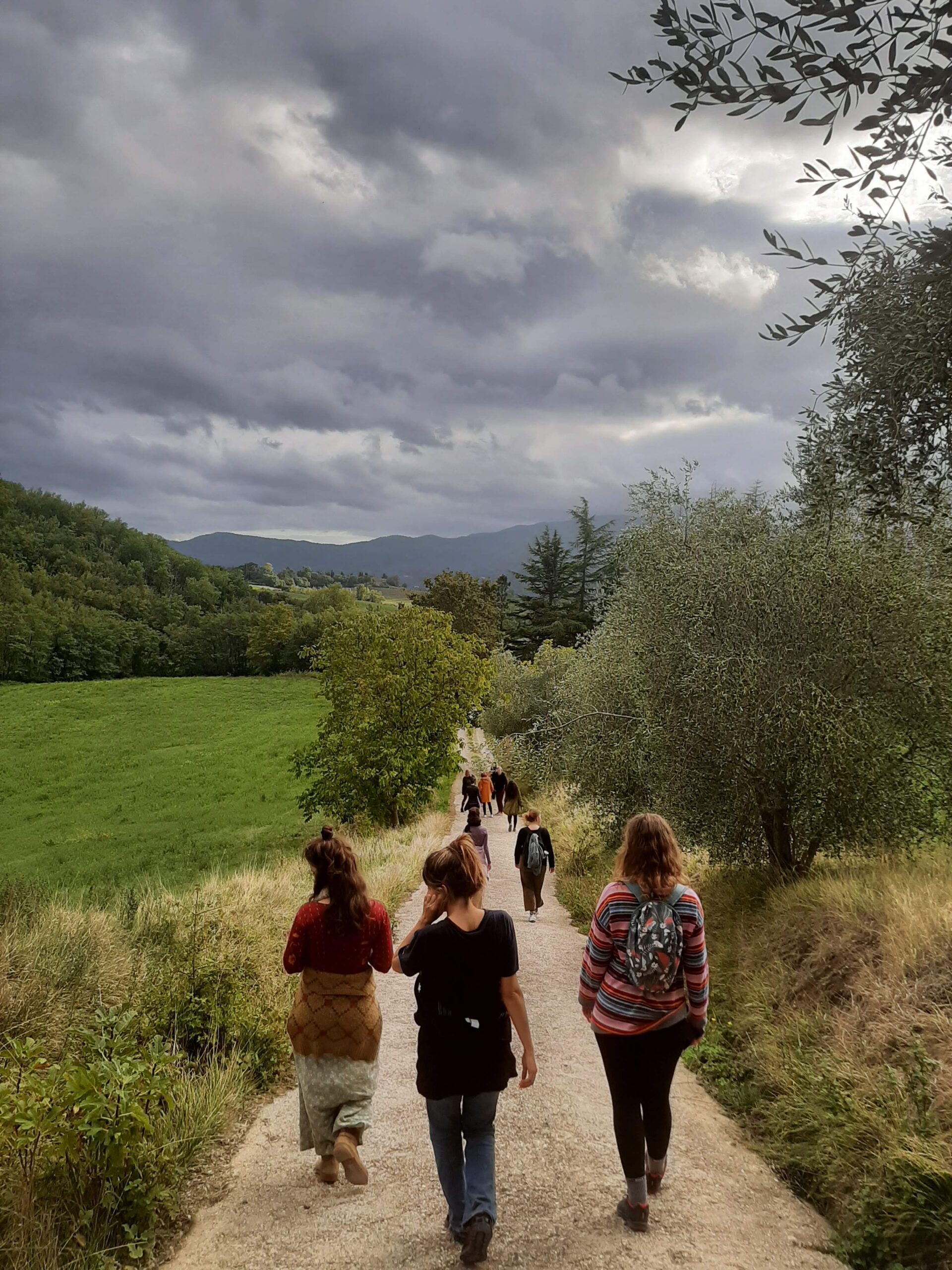 Personas paseando en el campo